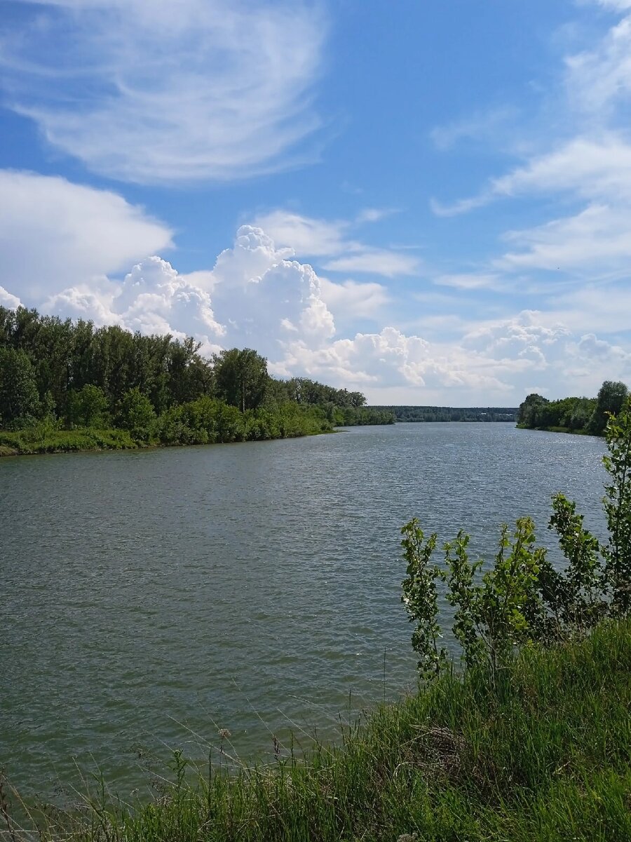 река чумыш алтайский край