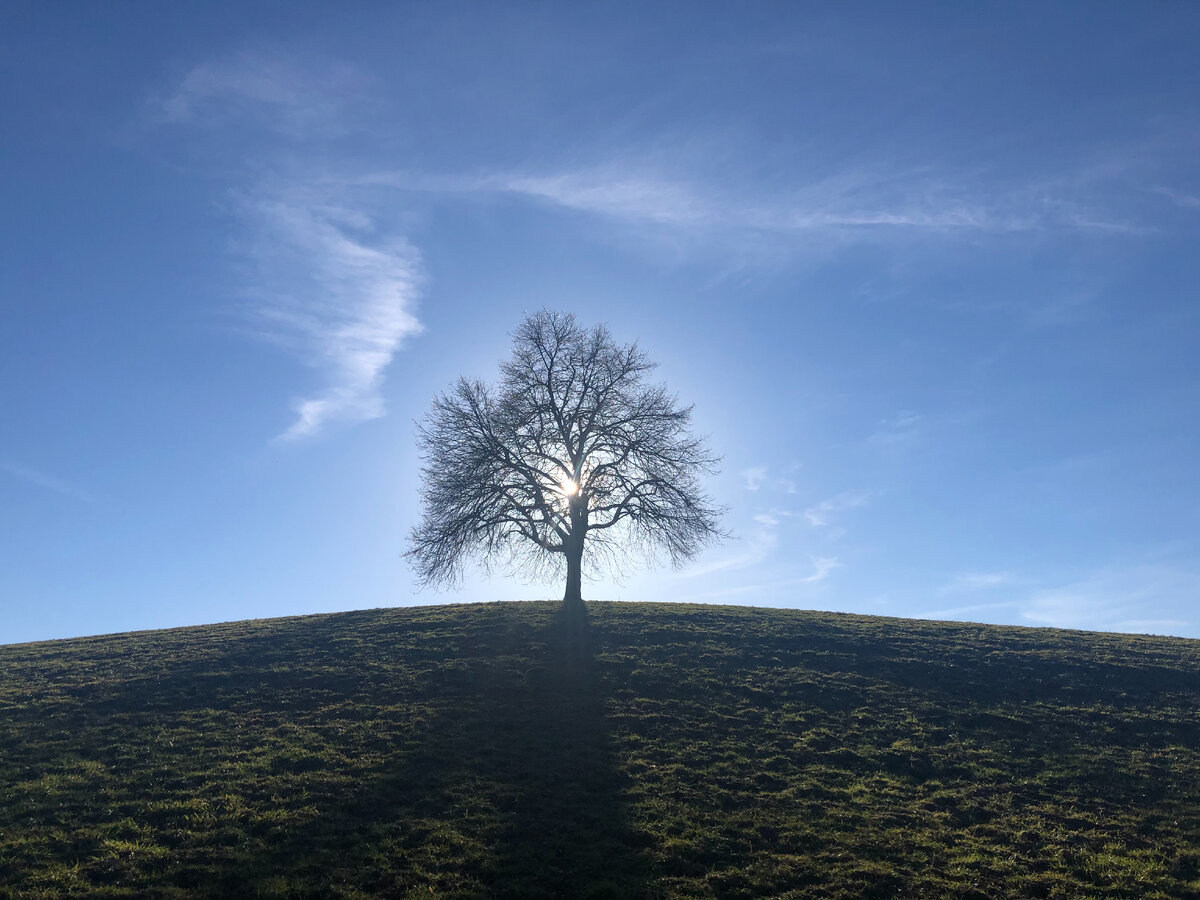 Индивидуальность