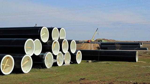 Фото: пресс-служба главы Крыма 