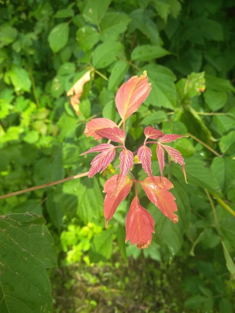 фото автора 