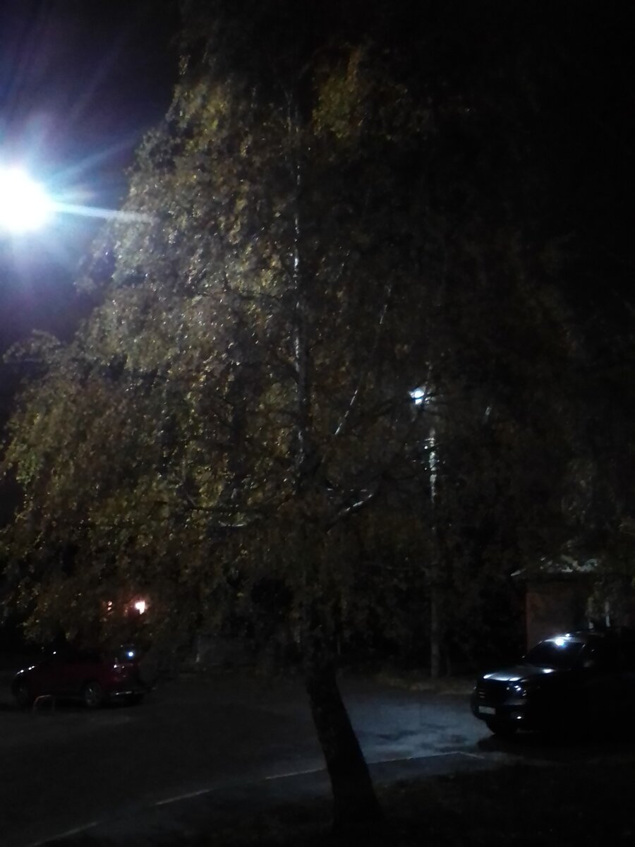 Ночь  -самое время для мистических историй .  Фото моё.