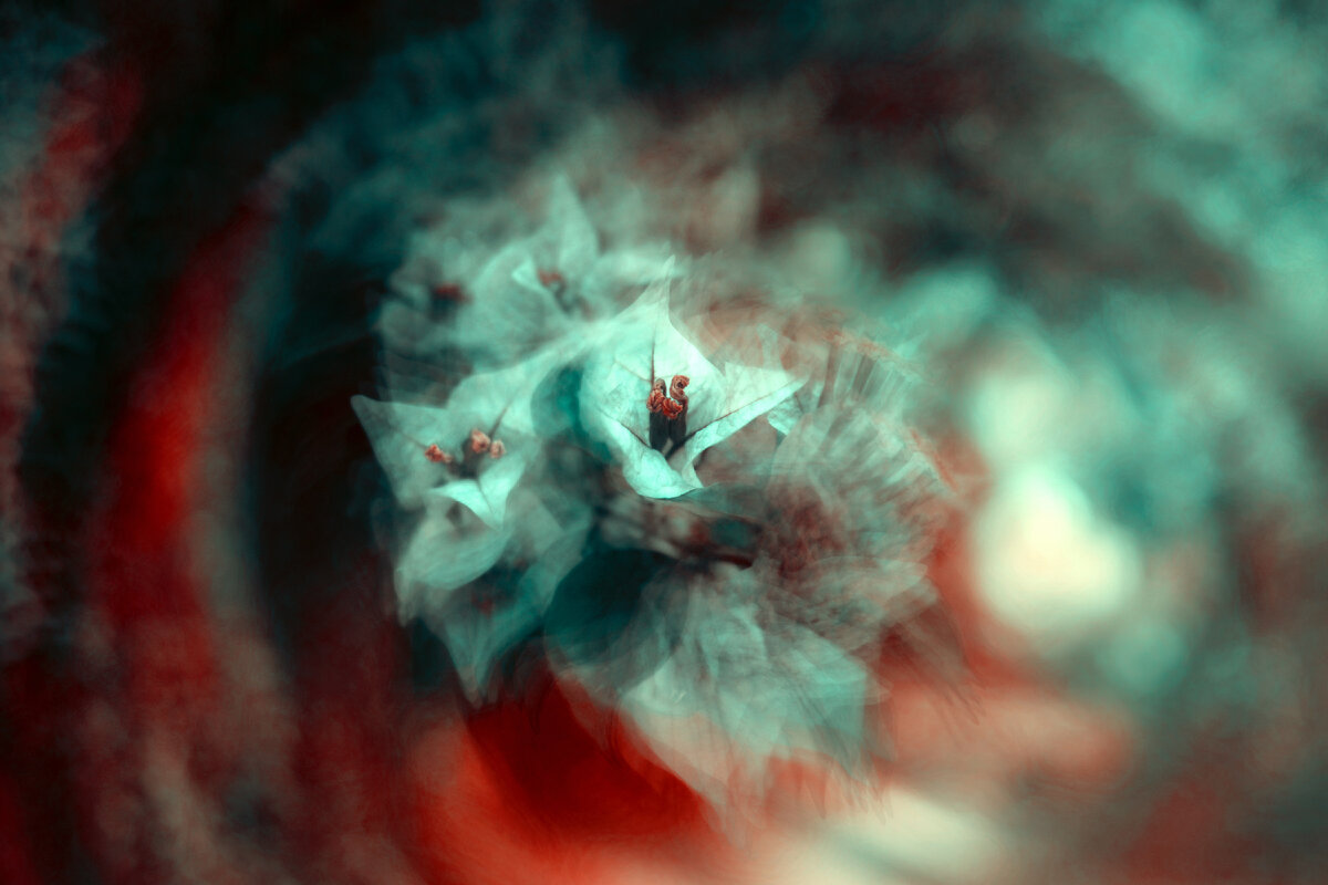 Photo by Jr Korpa on Unsplash