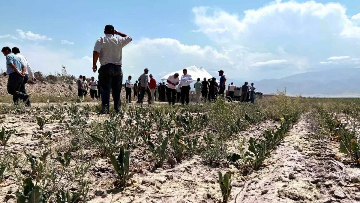    Фото: МСХ РК Август Макаров