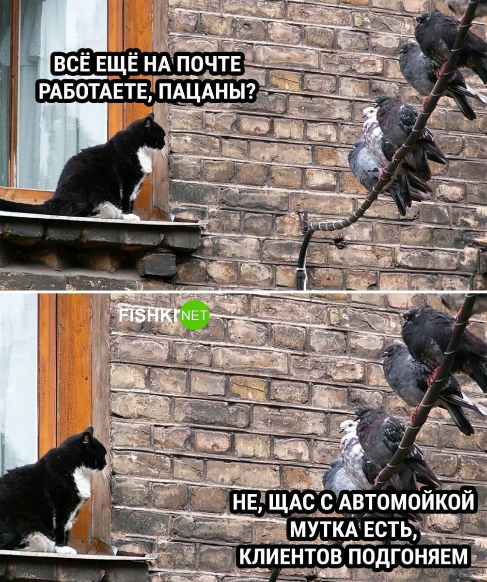 Источник: userapi.com