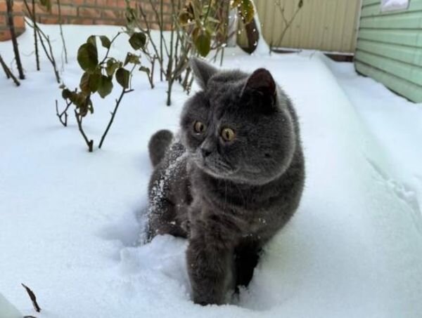 Источник фото: Наталья Жданова