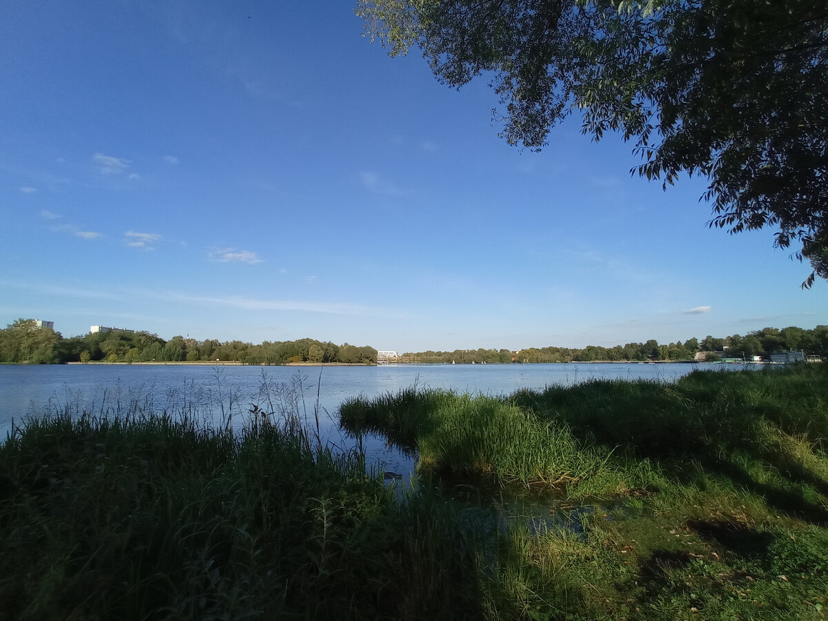 Котовский залив Клязьминского водохранилища. Долгопрудный, Московская область. Фото автора статьи (листайте галерею, ещё 3 фото)