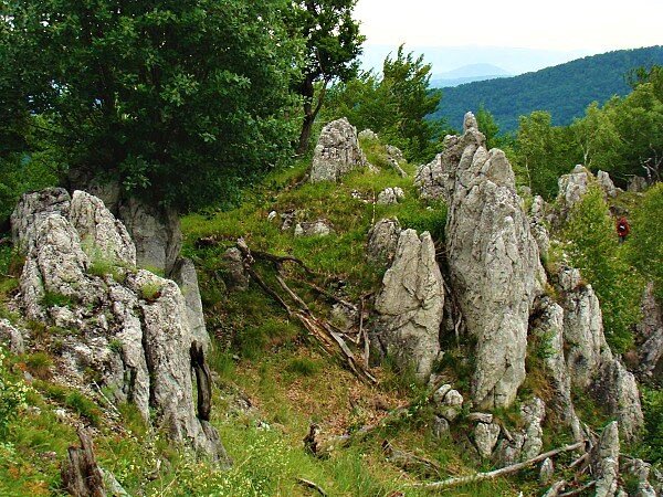 Природные чешские скалы. Фото: Яндекс картинки.