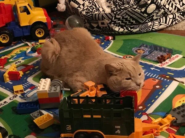 Прощай Федя. Ты был круче чем самые крутые яйца. Рано или поздно встретимся.