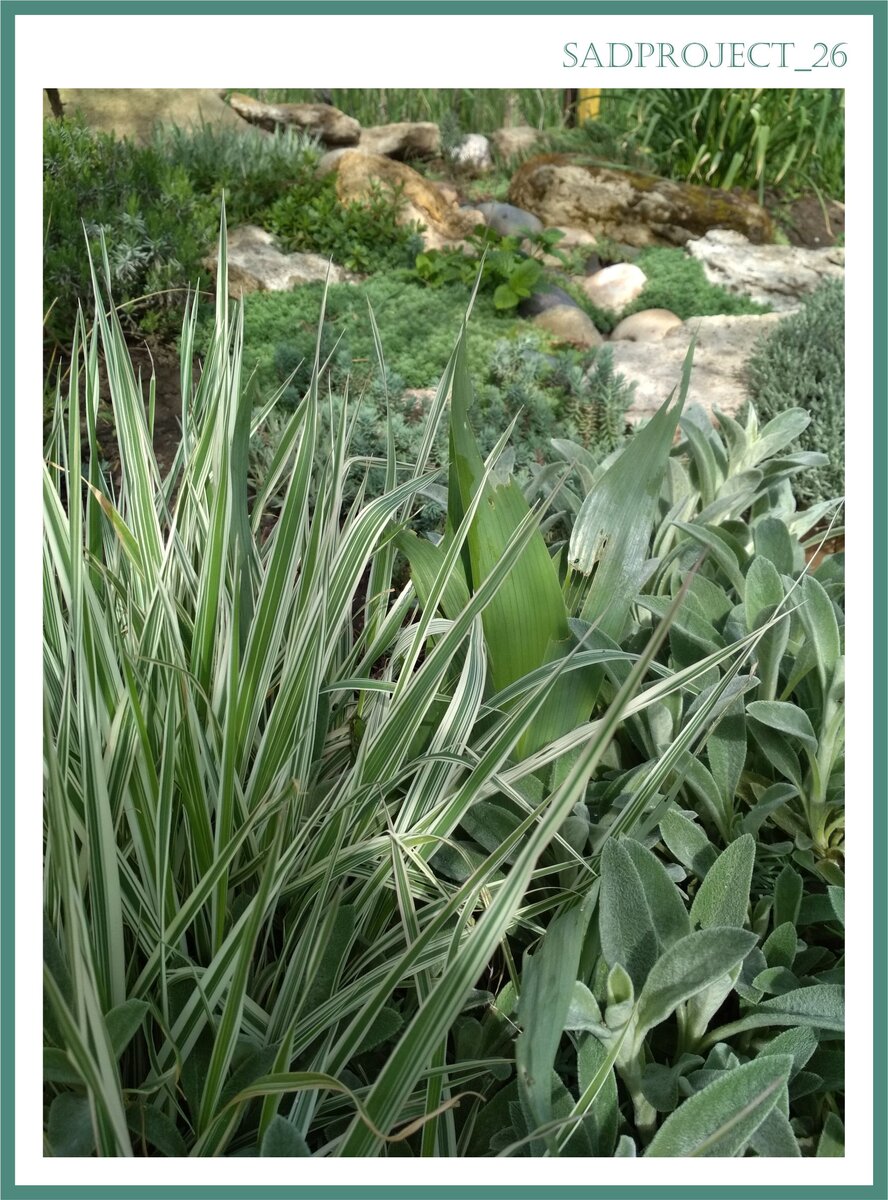 Фото 2. Пример нюансного сочетания цвета