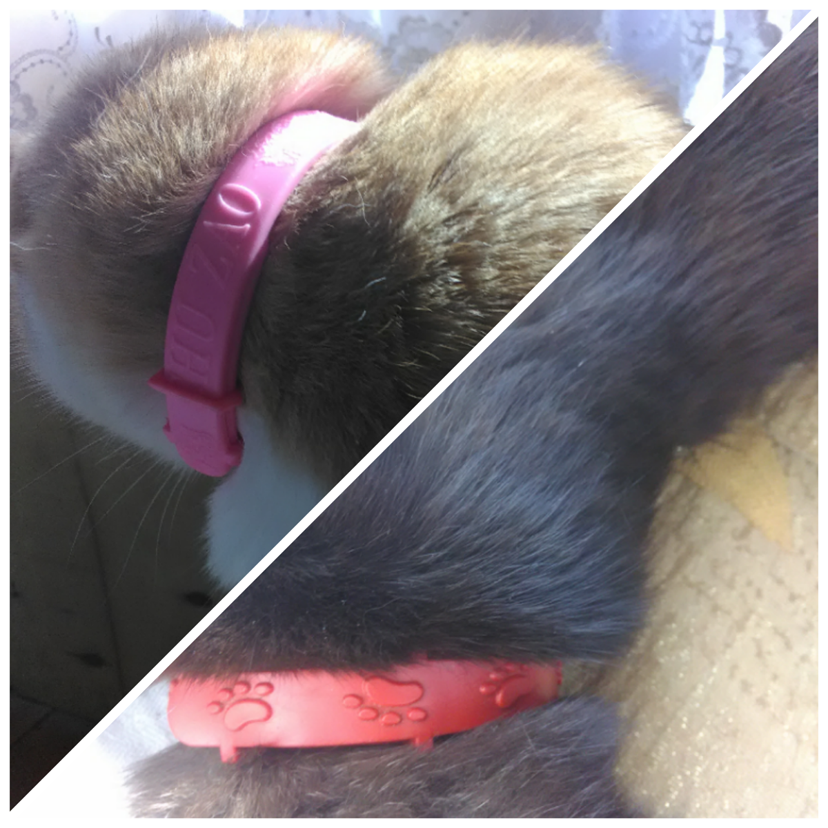 Внешняя сторона