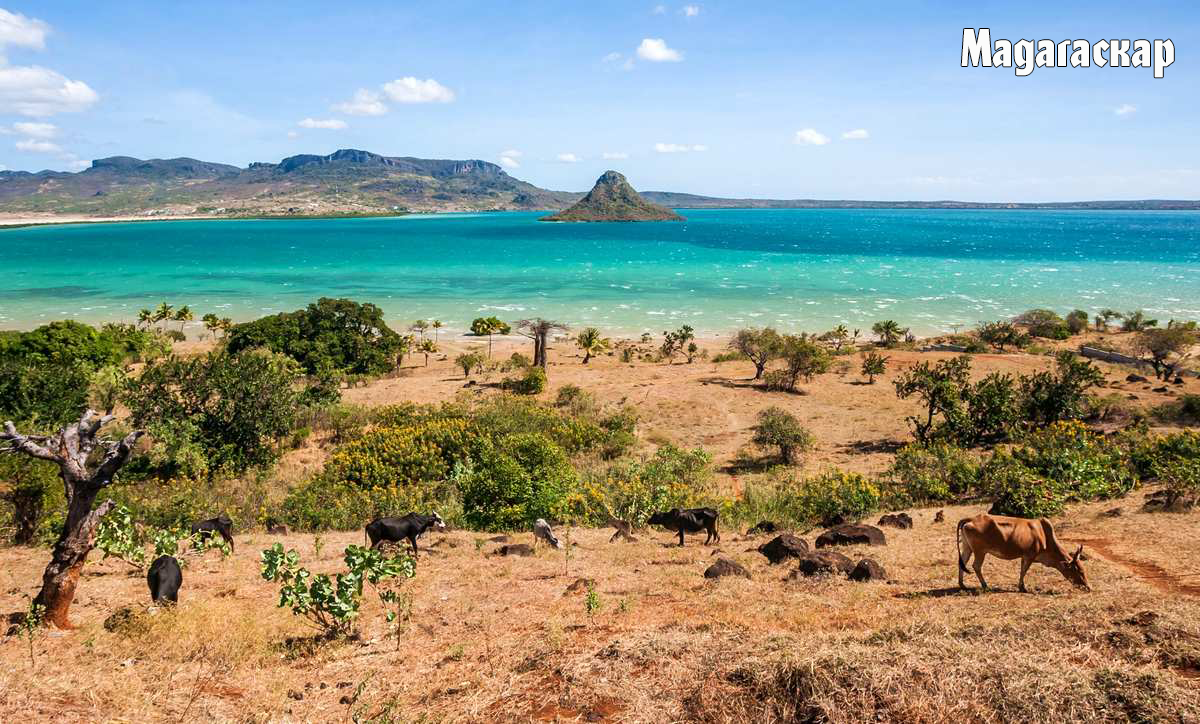 Мадагаскар