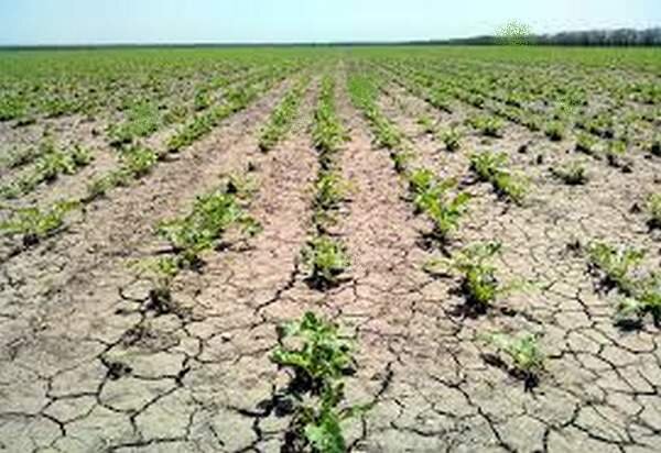 Фото предоставлено  https://www.pinterest.ru/