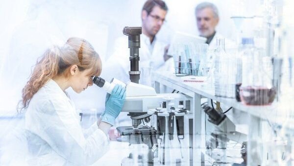 Фото: интернет источники