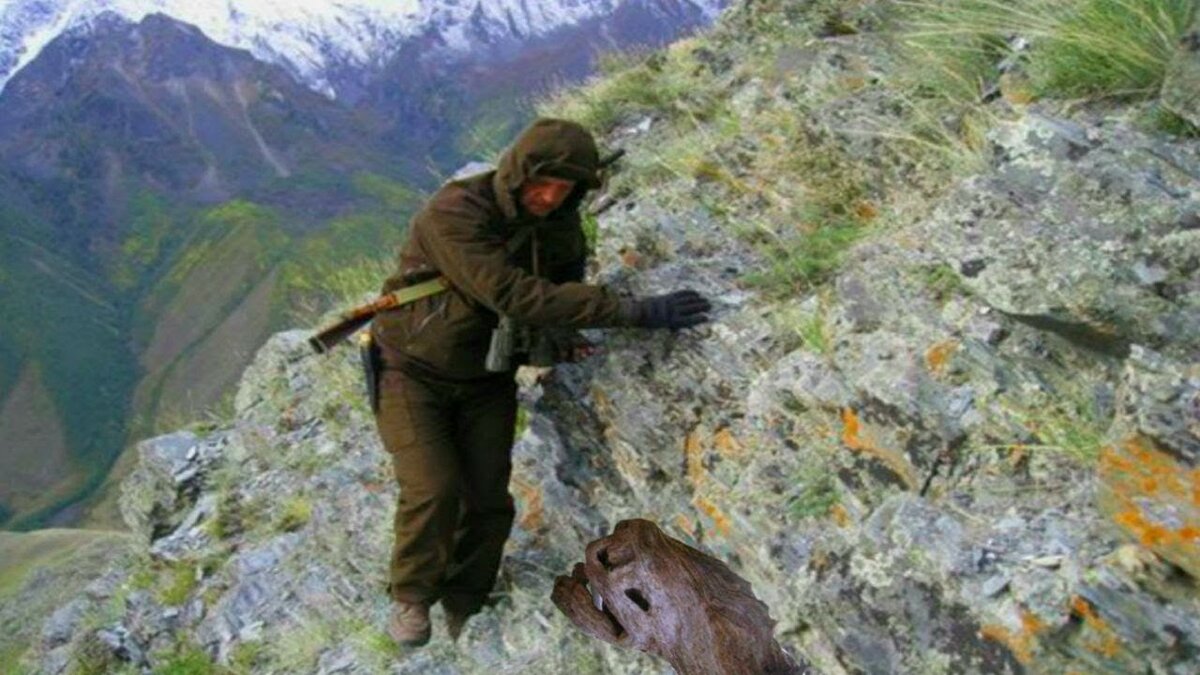 Фото взято из интернета