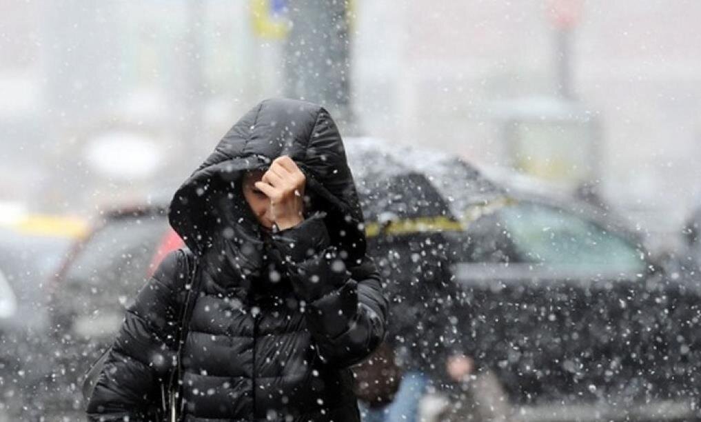 Фото – golos.ua