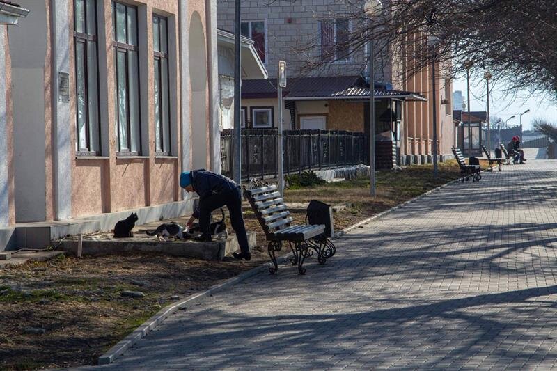 Прохожие угощают котов на Набережной