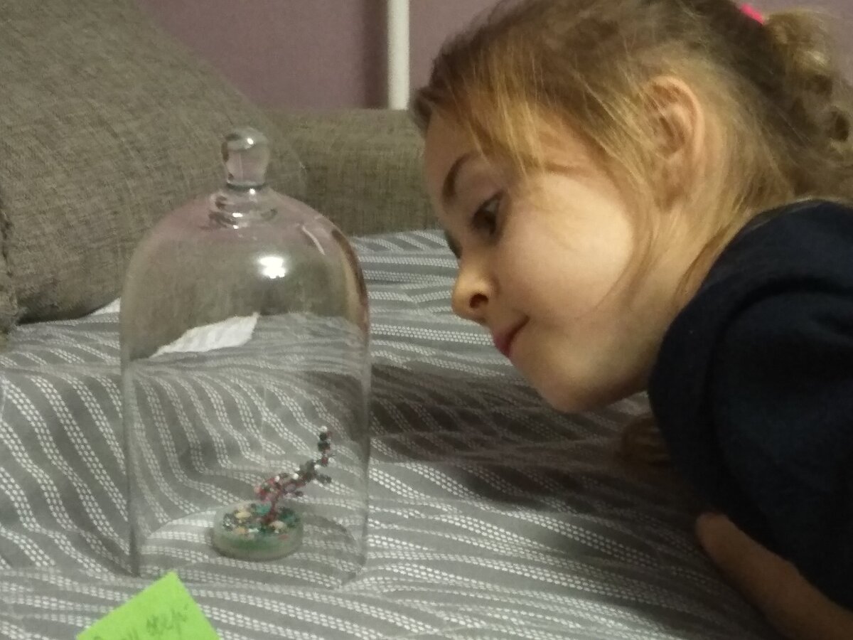 Сити-фермерство