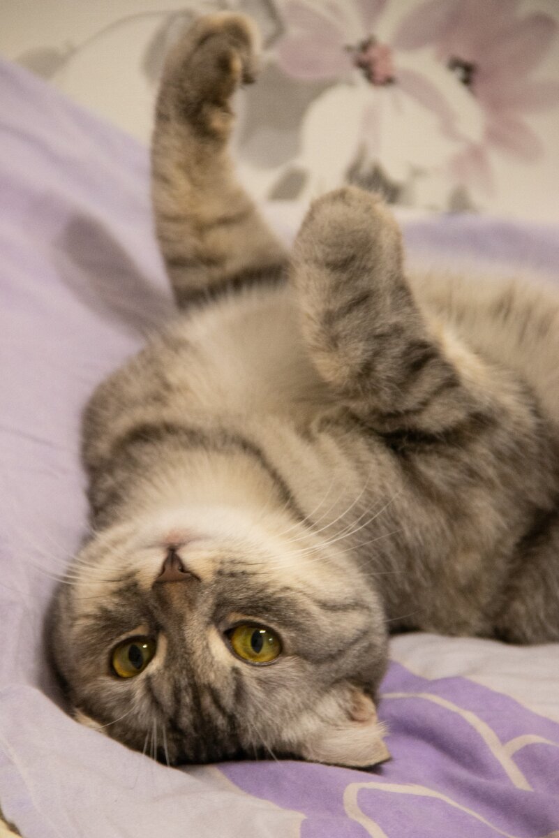 Вот наша красавица!