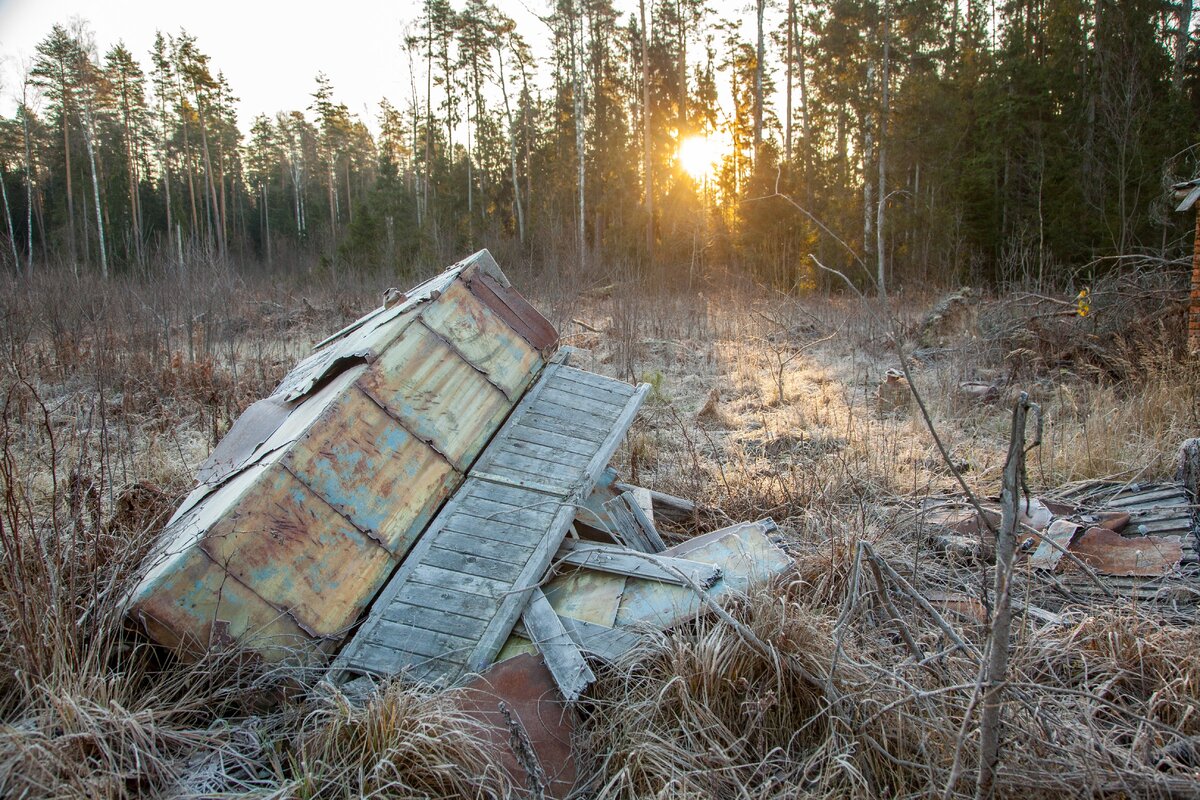 Предметы, разбросанные по лесу на территории бывшей военной части, в лучах восходящего солнца и в инее смотрятся особенно живописно. 