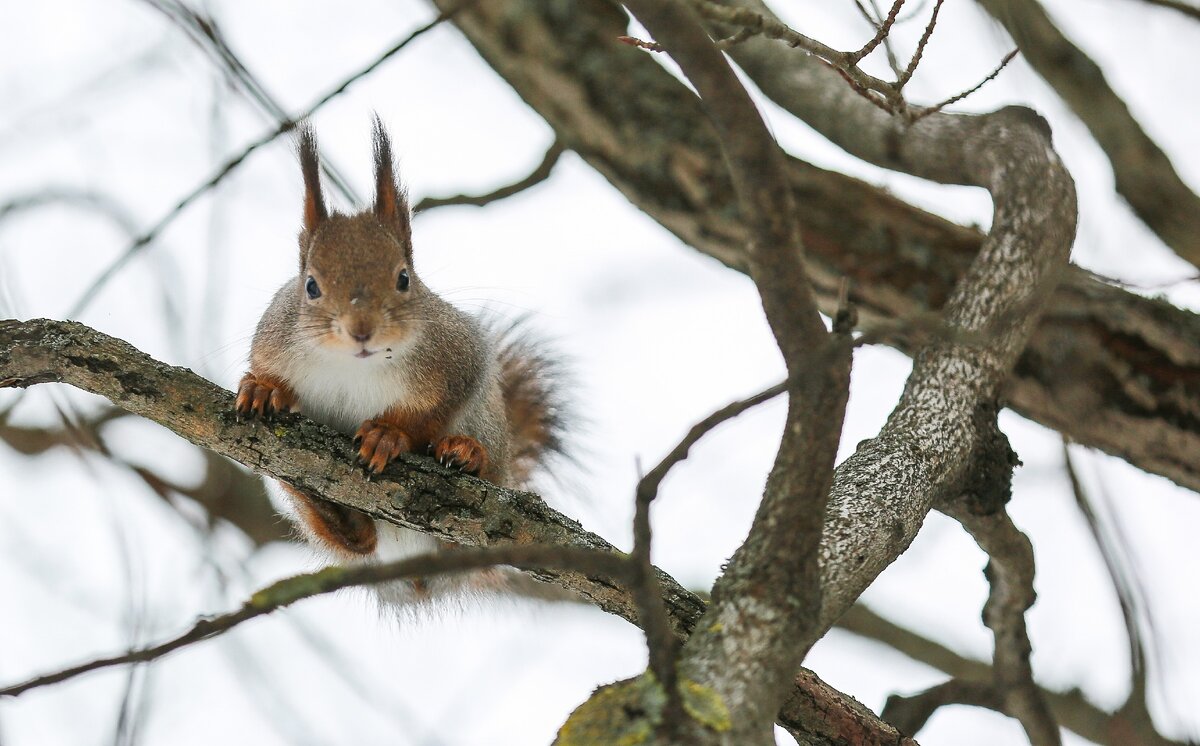 Фото из собственного архива