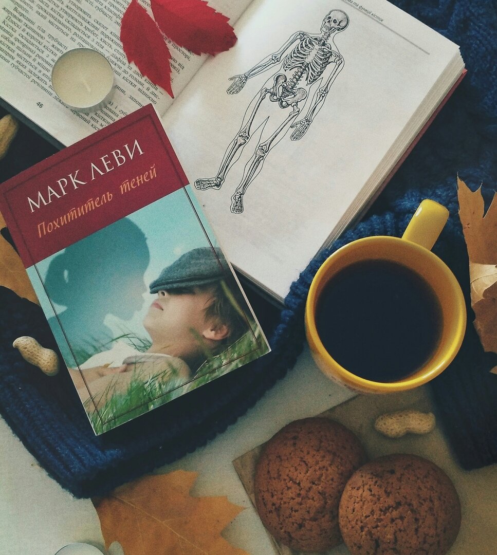 марклеви похитители теней. леви похититель теней. леви похититель теней. книга похититель теней. книга похититель теней.