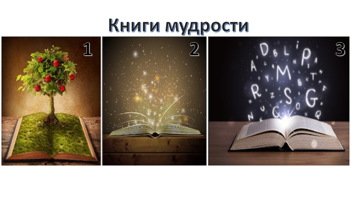 Книга мудрости. Мудрая книга. Книжная мудрость. С книгой по жизни.