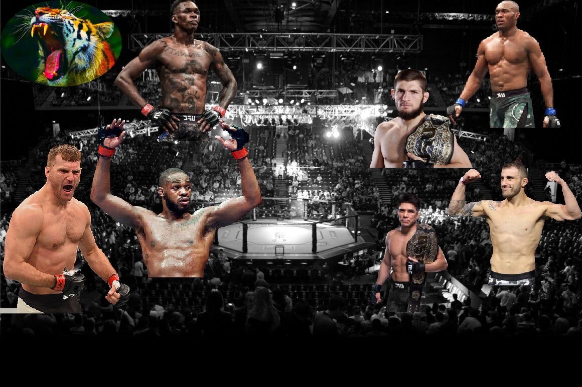 Действующие чемпионы UFC