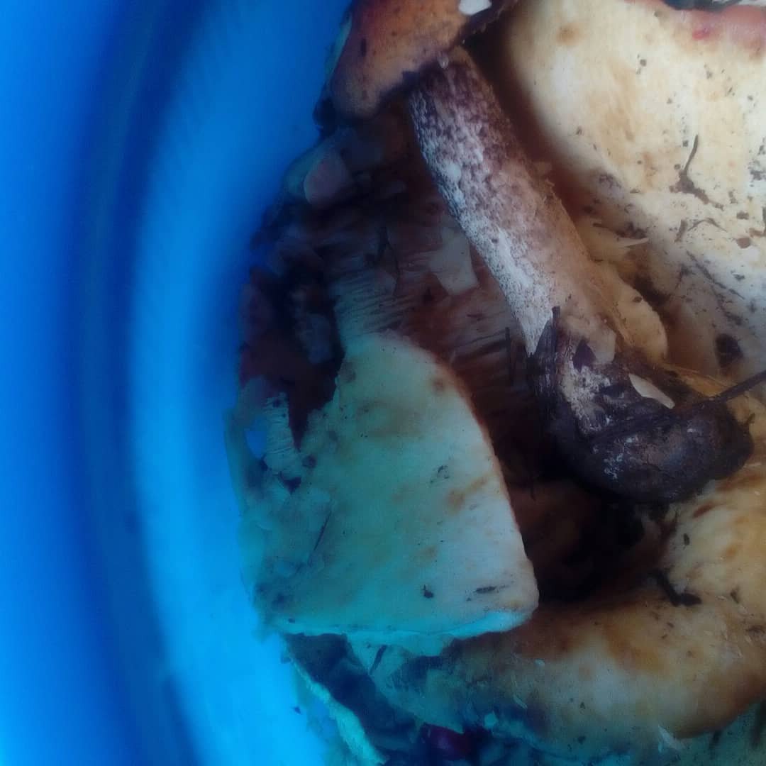 Фото автора.