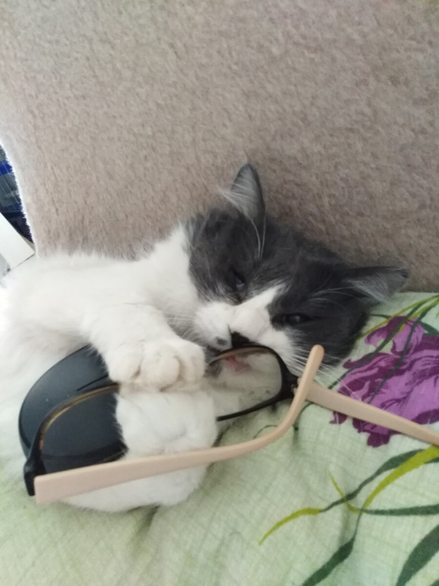 Не со мной, так в обнимку с моими очками