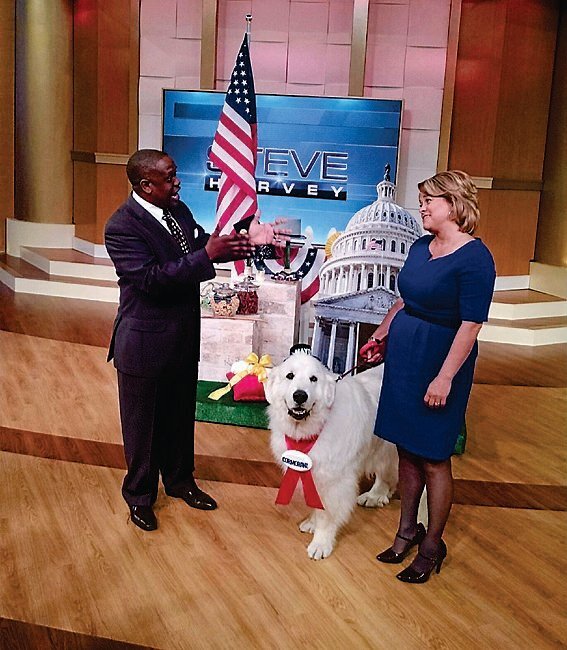 Источник фото: yandex.ru