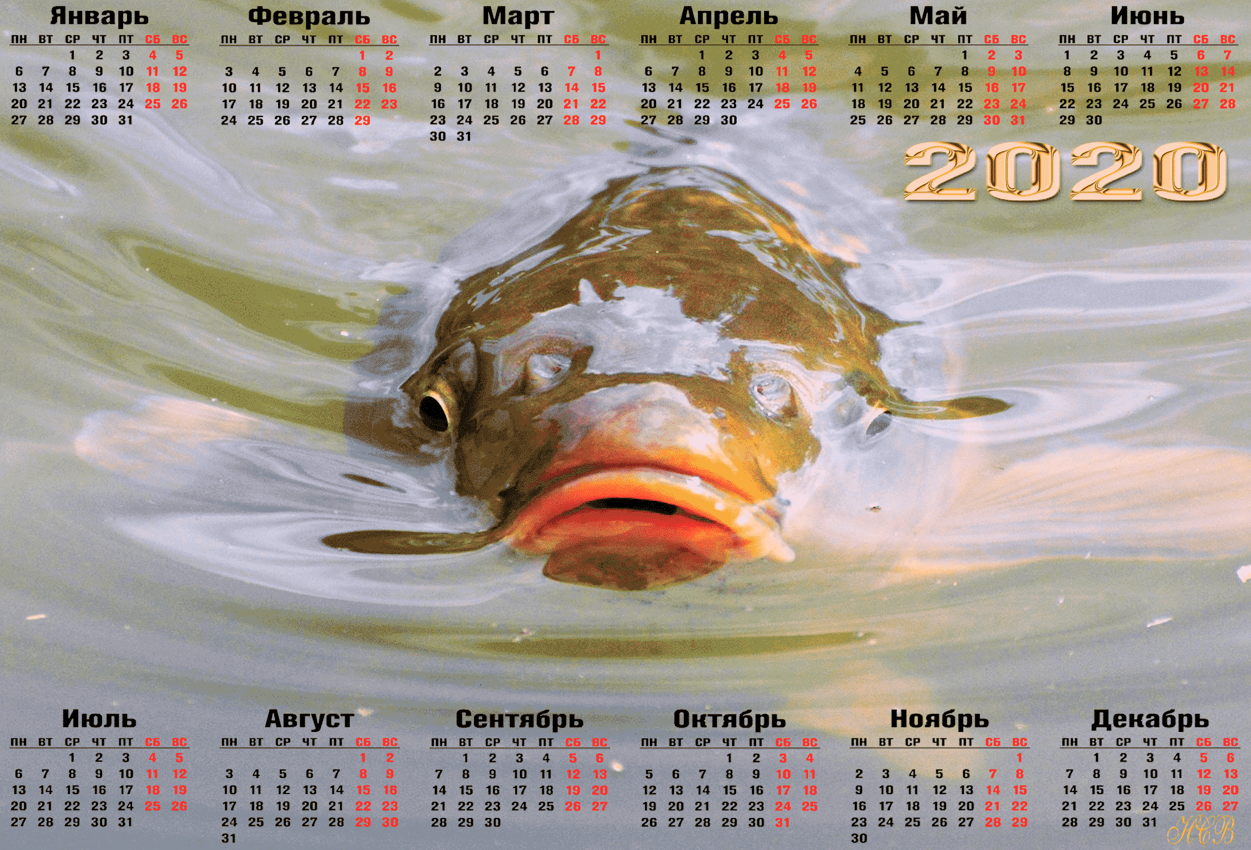 Рыболовный календарь 2020
