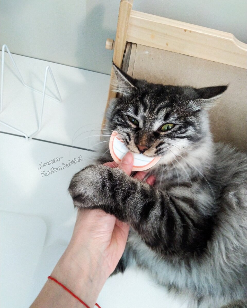 Фото автора. Улыбочку!