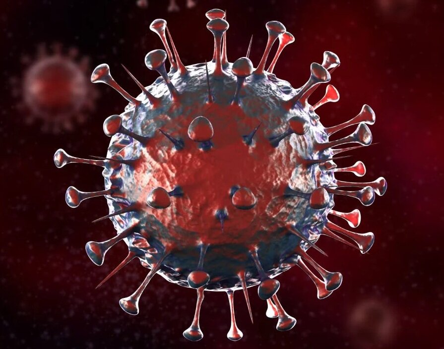 Коронавирус (фото из интернета)