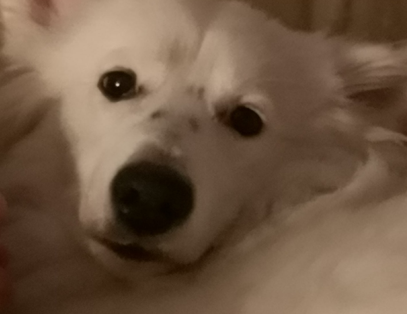 Я и сама не горжусь, тем что случилось...