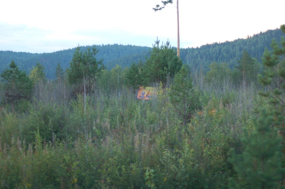 2014 год. Буйство природы