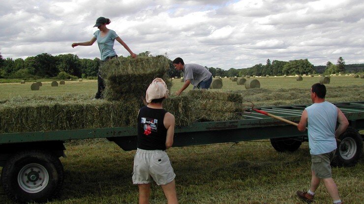 Фермеры в Польше не могут работать без украинцев