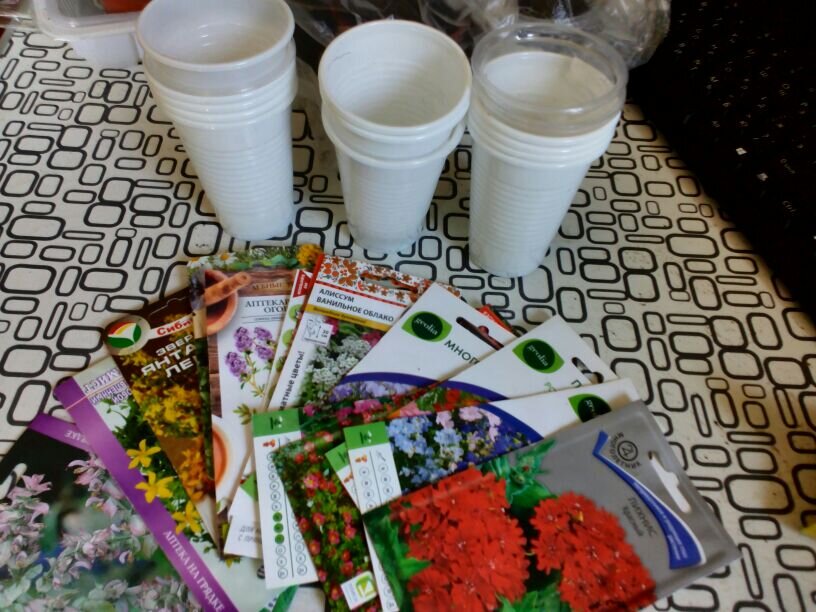 Семена, которые сеяла сегодня