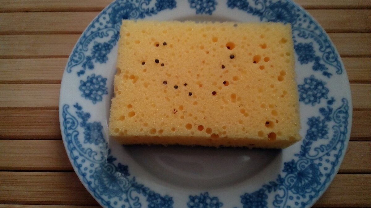 Проращиваем в губке семена. Фото автора