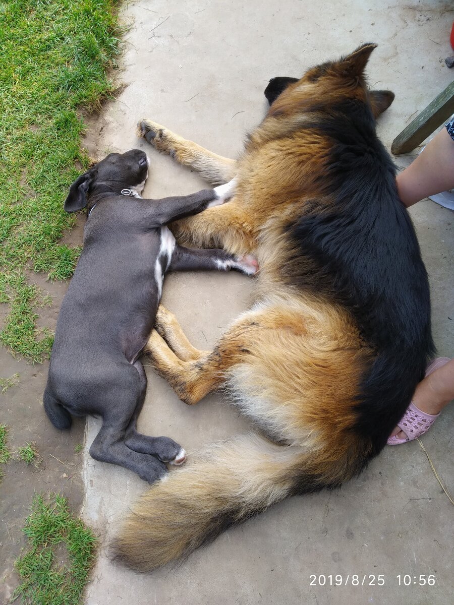 вот так всё началось...