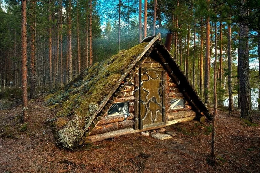 Изображение с сайта survinat.ru