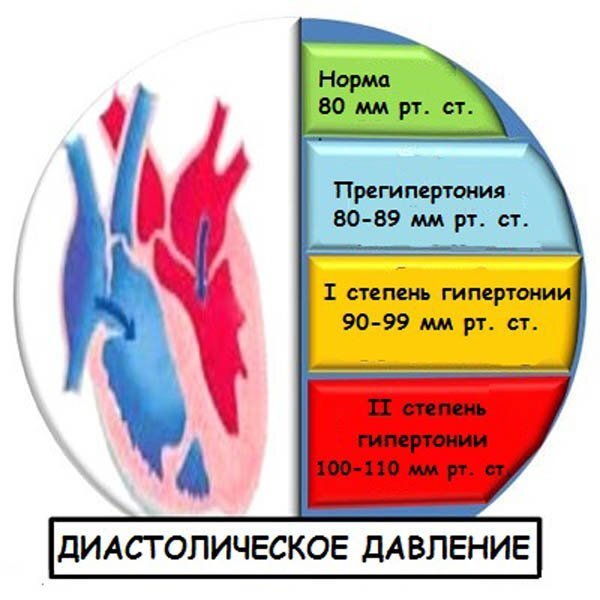 Как поднять низкое давление? - полезные статьи от специалистов - Медицинский центр «АудиоМед»