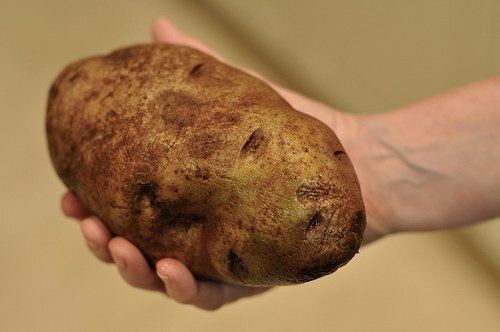 Все женщины в магазине убирают огромную картошку в сторону, а я покупаю только её.