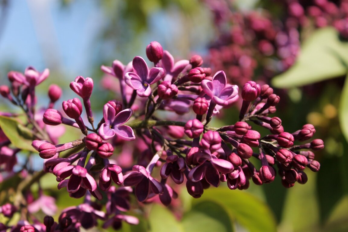 Фото: UfacityNews.ru