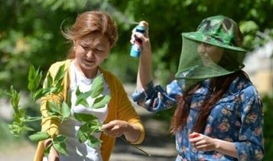 Источник фото: https://portamur.ru/