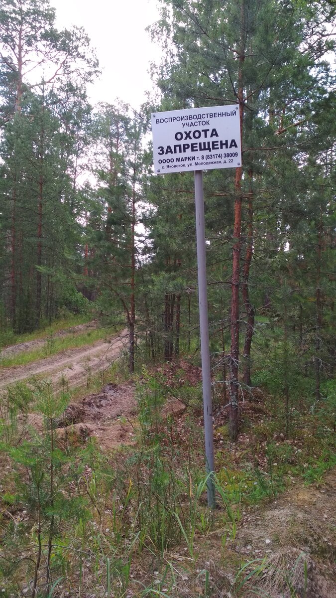 По дороге на Пустынские озера