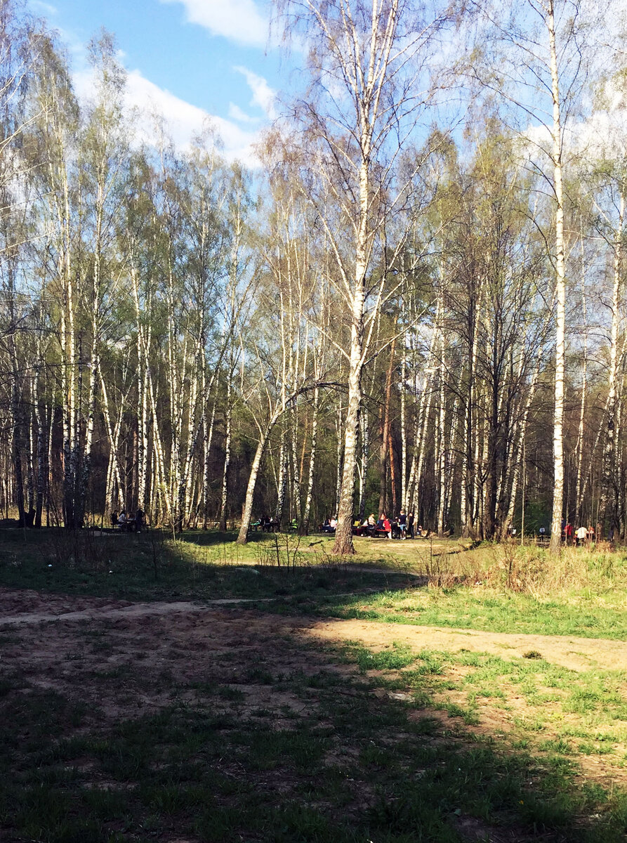 4 мая, лесопарковая зона, Подмосковье