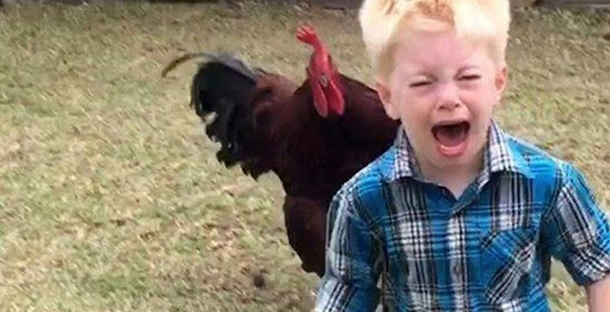 Изображение взято из сети интернет