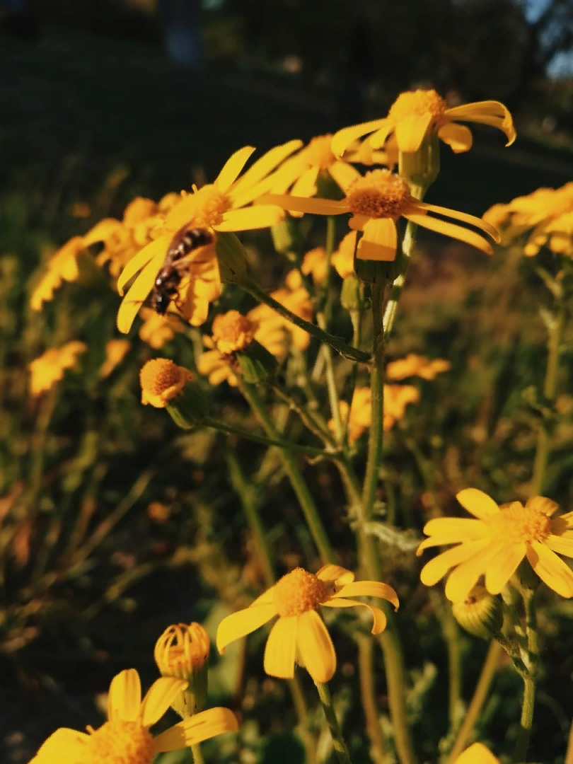 Источник фото: inst:  _tosyaa__