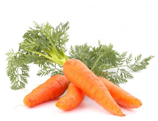 https://st.depositphotos.com/1002351/1628/i/950/depositphotos_16285737-stock-photo-carrot-vegetable-with-leaves.jpg