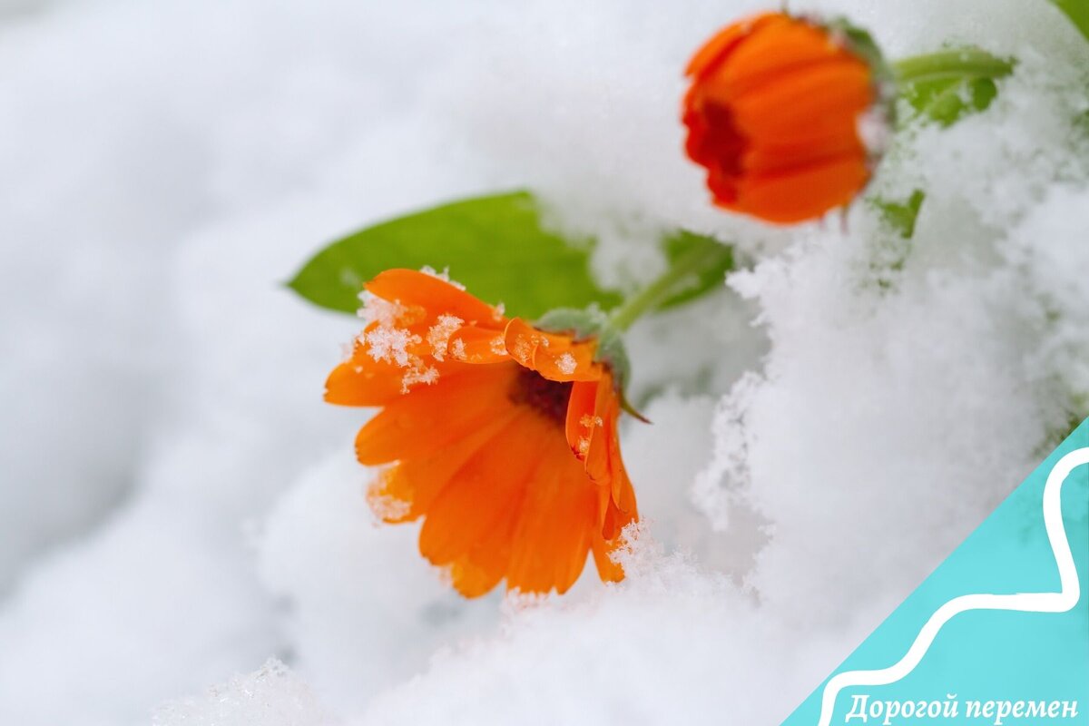 Вредные привычки ухудшают качество жизни